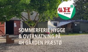 SOMMERFERIE HYGGE OG OVERNATNING PÅ 4H GÅRDEN @ Præstø 4H